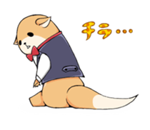 Family Cards sticker #3272278