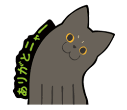 ALL CATS 2nd sticker #3275061