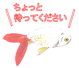 Sticker of Goldfish sticker #3275317
