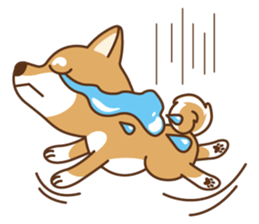 Shiba Inu - Gifaye's life sticker #3275585