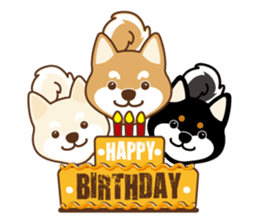 Shiba Inu - Gifaye's life sticker #3275592