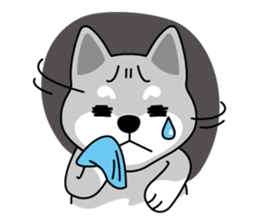 Shiba Inu - Gifaye's life sticker #3275595
