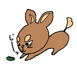 CHERRY of my lovely pet dog sticker #3279813