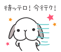 Lop Bunny, SHARIKICHI ~appointment~ sticker #3280911