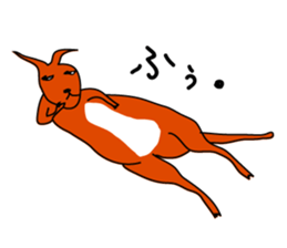 JACK ,a loose kangaroo sticker #3282586