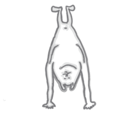 Plumply cats everyday sticker #3282748