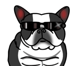 Real french bulldog family,All color ! sticker #3283358