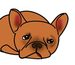 Real french bulldog family,All color ! sticker #3283360