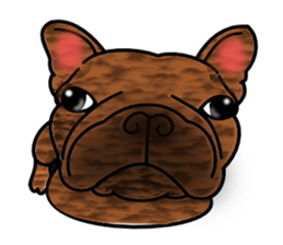 Real french bulldog family,All color ! sticker #3283363