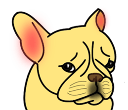 Real french bulldog family,All color ! sticker #3283364