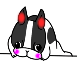 Real french bulldog family,All color ! sticker #3283373