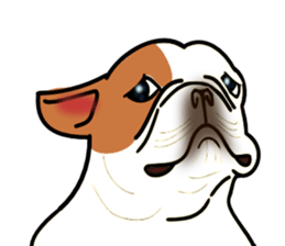 Real french bulldog family,All color ! sticker #3283390