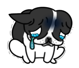 Real french bulldog family,All color ! sticker #3283391