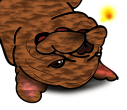 Real french bulldog family,All color ! sticker #3283393