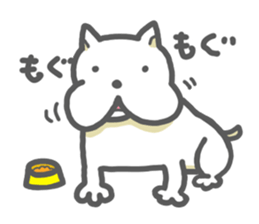 White dog KUNKUN sticker #3287864