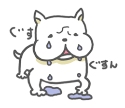 White dog KUNKUN sticker #3287878