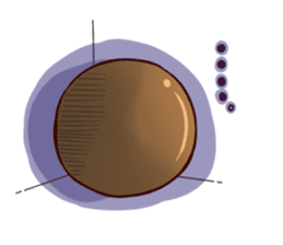 ki-chan is lovely friends tapioca sticker #3288252