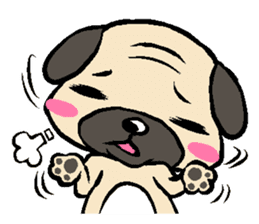 Cutie Pug sticker #3289711