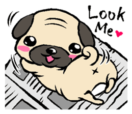 Cutie Pug sticker #3289729