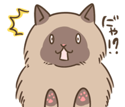 cat cat cat! sticker #3290625