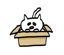 Sticker of the CAT such as the graffiti sticker #3291022