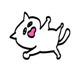 Sticker of the CAT such as the graffiti sticker #3291040
