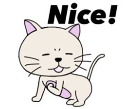 Very cute cat! sticker #3291102