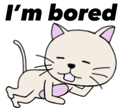 Very cute cat! sticker #3291137