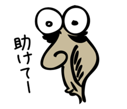 The rho of 45 deg of slant sticker #3294505