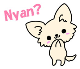 Chiwawa Cute dog "kabocha" sticker #3294858