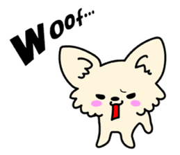 Chiwawa Cute dog "kabocha" sticker #3294859