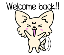 Chiwawa Cute dog "kabocha" sticker #3294864