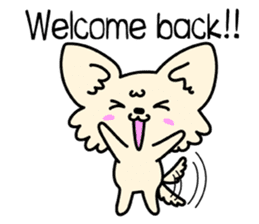 Chiwawa Cute dog "kabocha" sticker #3294864