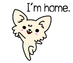 Chiwawa Cute dog "kabocha" sticker #3294865