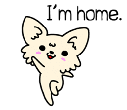Chiwawa Cute dog "kabocha" sticker #3294865