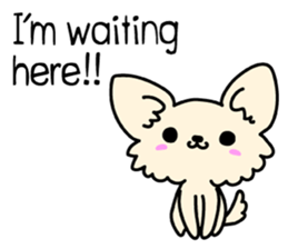 Chiwawa Cute dog "kabocha" sticker #3294866