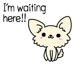 Chiwawa Cute dog "kabocha" sticker #3294866