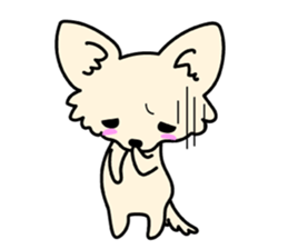 Chiwawa Cute dog "kabocha" sticker #3294869