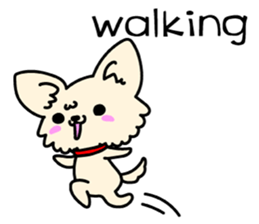 Chiwawa Cute dog "kabocha" sticker #3294870