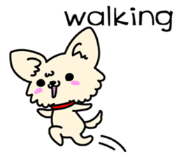 Chiwawa Cute dog "kabocha" sticker #3294870
