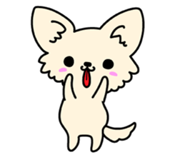 Chiwawa Cute dog "kabocha" sticker #3294871