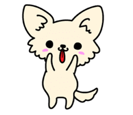 Chiwawa Cute dog "kabocha" sticker #3294871