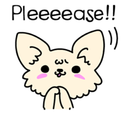 Chiwawa Cute dog "kabocha" sticker #3294875