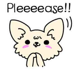 Chiwawa Cute dog "kabocha" sticker #3294875