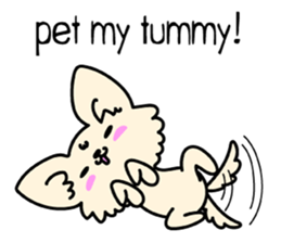 Chiwawa Cute dog "kabocha" sticker #3294880