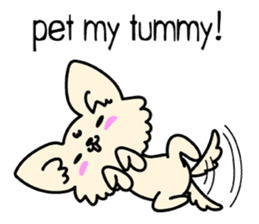 Chiwawa Cute dog "kabocha" sticker #3294880