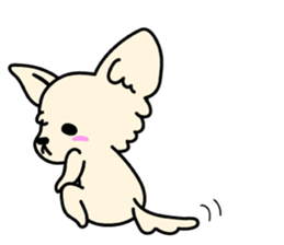 Chiwawa Cute dog "kabocha" sticker #3294882