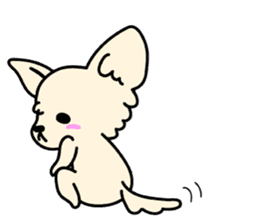 Chiwawa Cute dog "kabocha" sticker #3294882