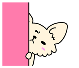 Chiwawa Cute dog "kabocha" sticker #3294885