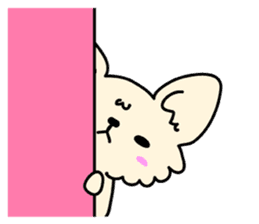 Chiwawa Cute dog "kabocha" sticker #3294885